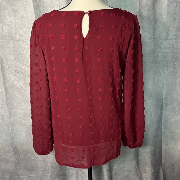 Qearal Burgundy Chiffon Sheer Sleeve Top With Embroidered Polka Dots - Small - Picture 5 of 10